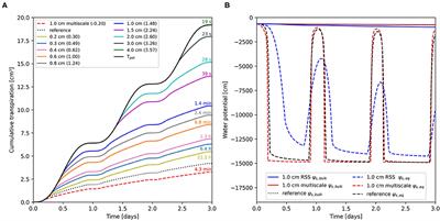 Root System Scale Models Significantly Overestimate <mark class="highlighted">Root Water Uptake</mark> at Drying Soil Conditions